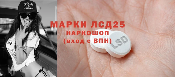 гашик Ладушкин