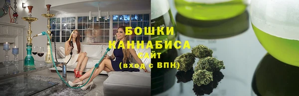 ECSTASY Лагань