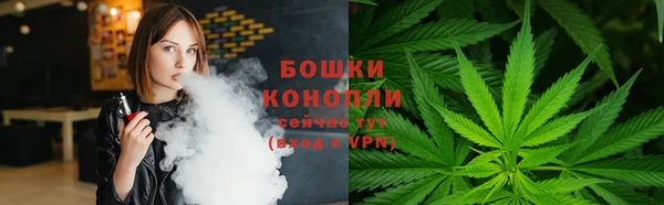 мдпв Лабытнанги