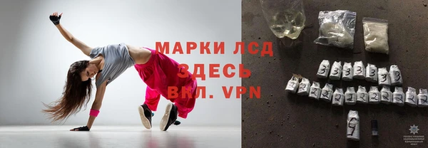 гашик Ладушкин