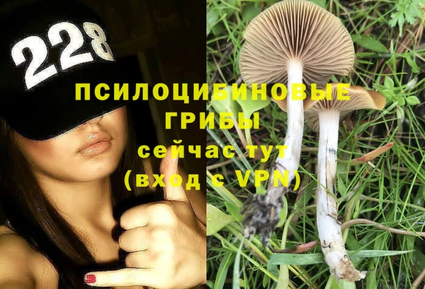 мдпв Лабытнанги