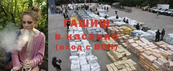 гашик Ладушкин