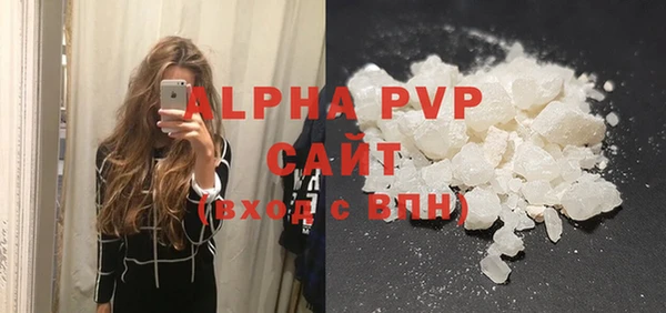 ECSTASY Лагань