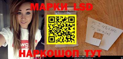 гидропоника Гатчина