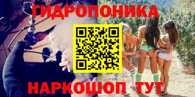 мдпв Гай