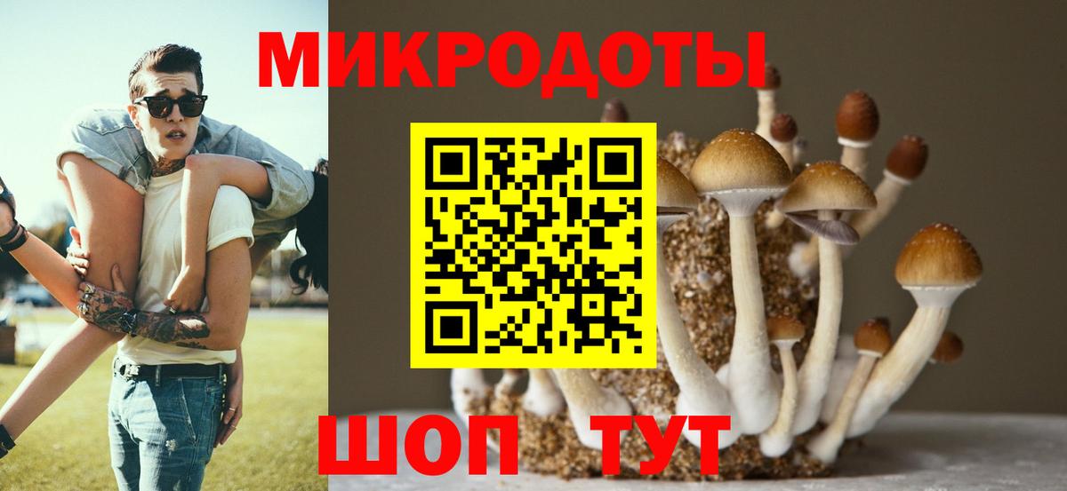 Галлюциногенные грибы Psilocybe  Вход с VPN  Сафоново 